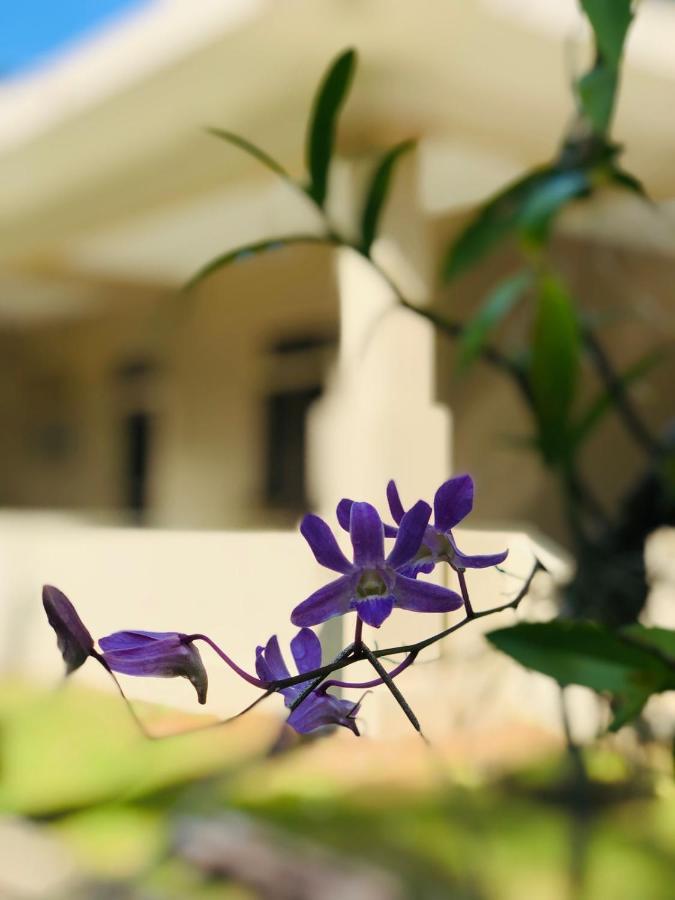 Paradise Garden Beruwala Exterior foto